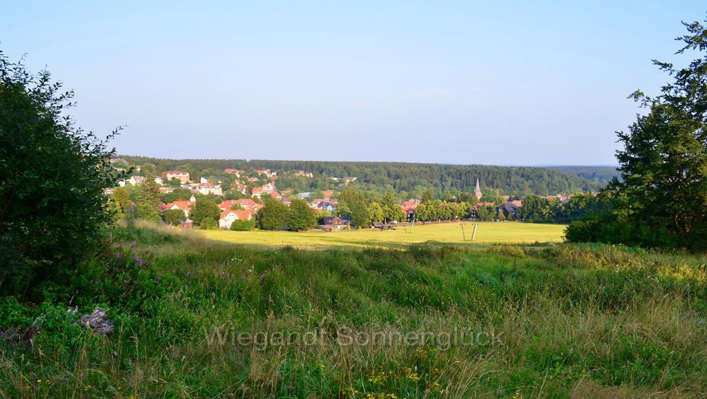 Sonnenglueck Mit Schwimmbad Lägenhet Braunlage Rum bild